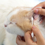 2boxes Pet Cotton Swabs Cat Dog Ear Cleaning Supplies, Pet Cotton Swabs