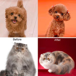 Pet Grooming Scissors Dog Cat Hair Trimming Haircutting Tools, Style:, Straight Shear, Teeth Shears