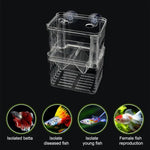 Peacock Fish Double Layer Transparent Breeding Isolation Box Aquarium Breeding Box, Small, Large, Extra Large