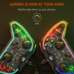 RGB Light Wired Gamepad Controller For PC/Switch, BIGBIGWON C1 S