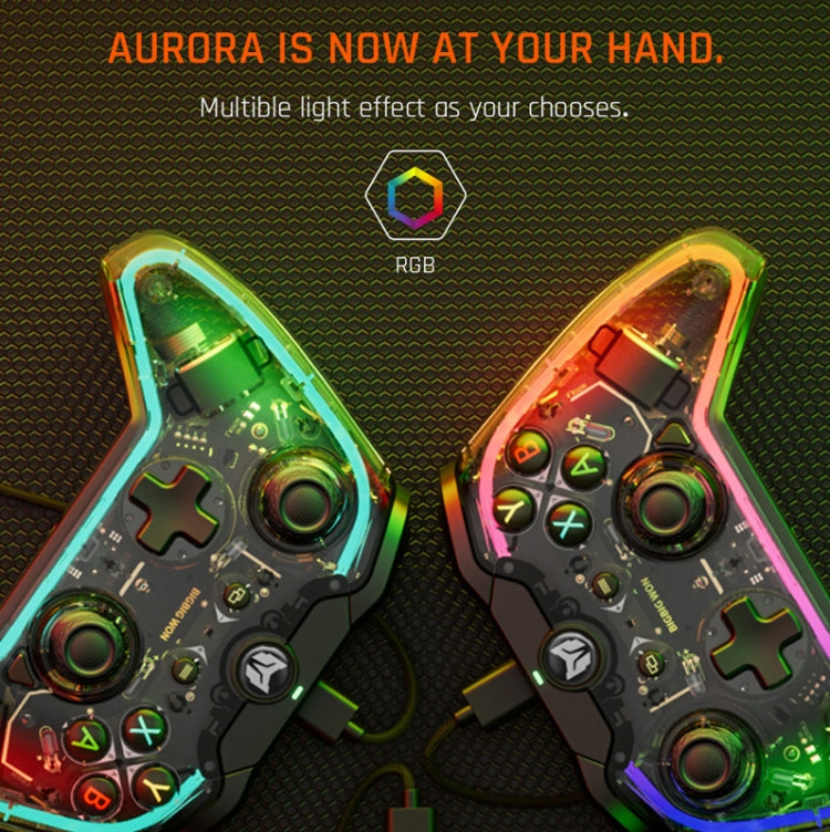 RGB Light Wired Gamepad Controller For PC/Switch, BIGBIGWON C1 S