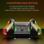 RGB Light Wired Gamepad Controller For PC/Switch, BIGBIGWON C1 S