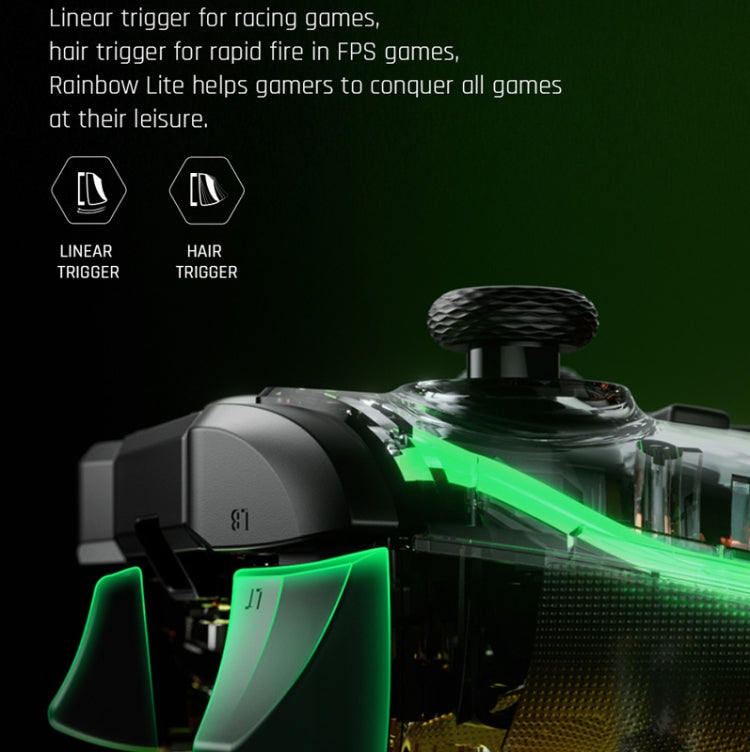 RGB Light Wired Gamepad Controller For PC/Switch, BIGBIGWON C1 S