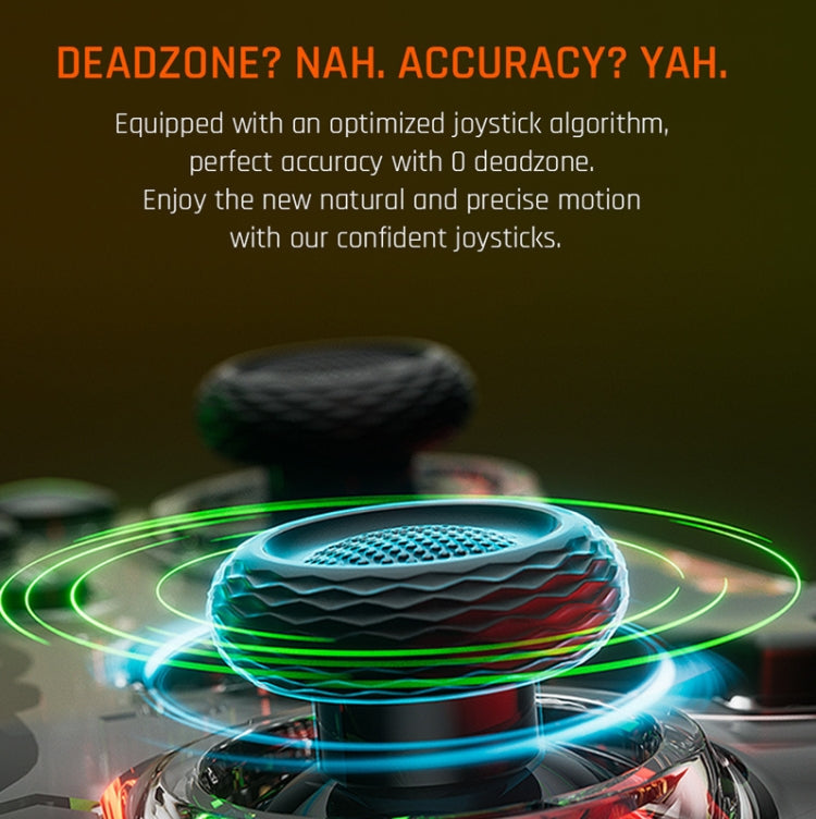 RGB Light Wired Gamepad Controller For PC/Switch, BIGBIGWON C1 S