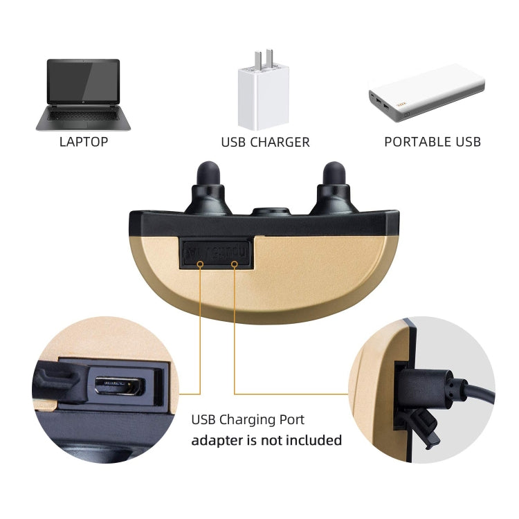 USB-wiederaufladbares, wasserdichtes Hundehalsband mit Vibrations- und Signaltonfunktion, Gold