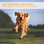 USB-wiederaufladbares, wasserdichtes Hundehalsband mit Vibrations- und Signaltonfunktion, Gold