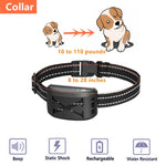 2-in-1 Elektrischer Hundezaun &amp; Ferntrainingshalsband mit einstellbarer Vibrations- und Schockfunktion, für 1 Hund, für 2 Hunde, für 3 Hunde