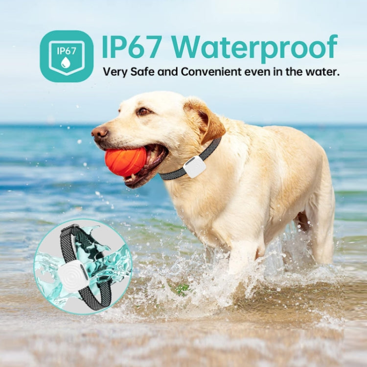 Pet Training Smart Bark Stopper Waterproof Vibration Collar