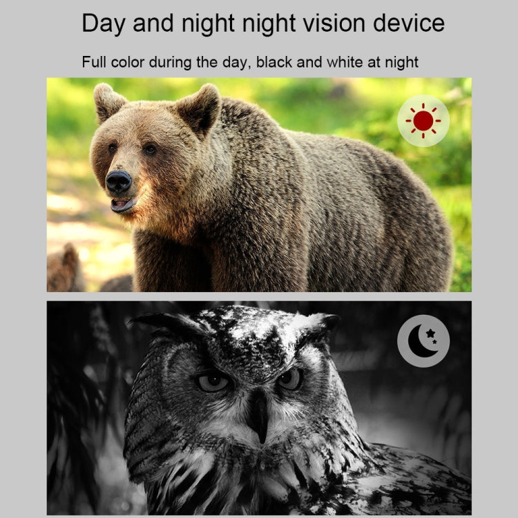 APEXEL 3-inch LCD HD Screen Photo Video Portable Binoculars Digital Infrared Night Vision Device, APL-NV009