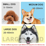 2100W Dog Dryer Stepless Speed Pet Hair Blaster With Vacuum Cleaner, 220V UK Plug, 220V EU Plug, 220V AU PLug, 110V US Plug