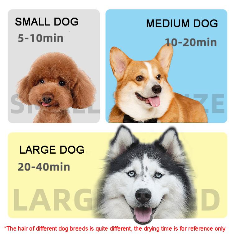 2100W Dog Dryer Stepless Speed Pet Hair Blaster With Vacuum Cleaner, 220V UK Plug, 220V EU Plug, 220V AU PLug, 110V US Plug