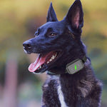 Smart Waterproof Electric Shock Dog Trainer Rechargeable Remote Bark Stopper