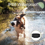 Dog Training Collar Smart 400m Remote Control Pet Training Device, T300, Receiver