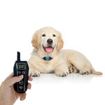 Intelligent Electronic Remote Control Dog Training Device Pet Training Shock Collar Bark Stopper, T700, Receiver