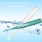 Electric Dental Scaler Accessories Replacement Head, White Basic, White Exclusive, Black Basic, Black Exclusive, Green Basic, Green Exclusive, 5pcs Toothbrush Head White, 5pcs Toothbrush Head Black, 5pcs Toothbrush Head Green