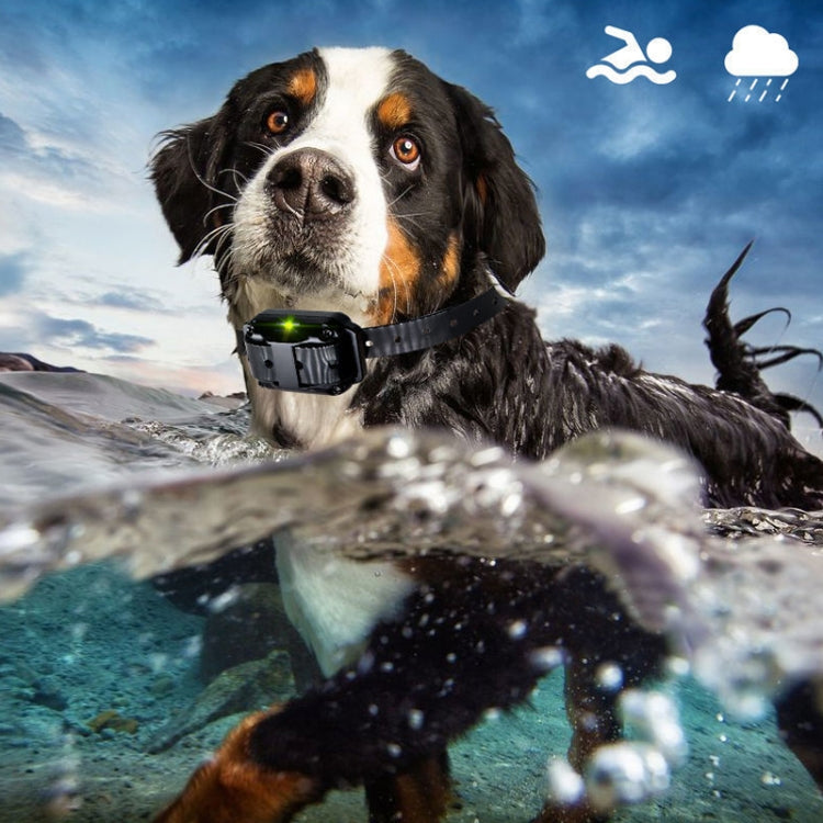 800 m Fernbedienung, Antibell-Hundetrainer, intelligentes Anti-Störungs-Vibrationshalsband, mit 1 Halsband, mit 2 Halsbändern, mit 3 Halsbändern