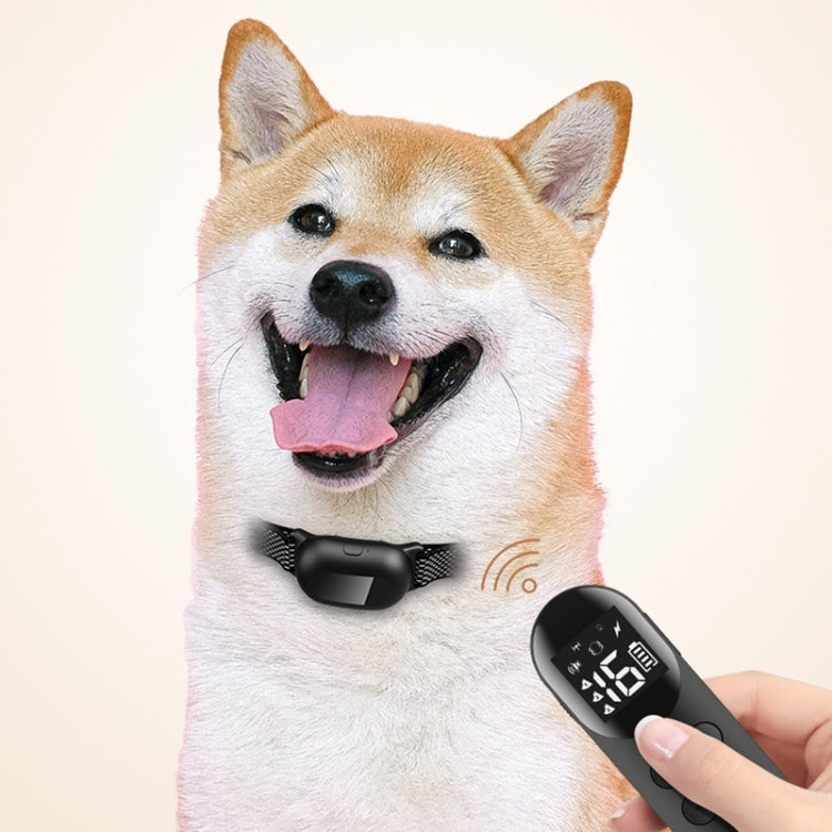 Pet Dog Training Anti-barking Collar Smart Remote Control, Remote Control
