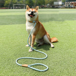 Dog Traction Rope Mid Large Dog Universal Safety Buckle Chain Circle, 1.5m x 0.6cm, 1.5m x 0.8cm, 1.5m x 1cm, 1.8m x 0.6cm, 1.8m x 0.8cm, 1.8m x 1cm