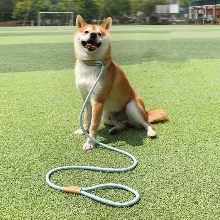 Dog Traction Rope Mid Large Dog Universal Safety Buckle Chain Circle, 1.5m x 0.6cm, 1.5m x 0.8cm, 1.5m x 1cm, 1.8m x 0.6cm, 1.8m x 0.8cm, 1.8m x 1cm