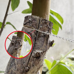 Stainless Steel Hand-pulled Wire Saw Rope Outdoor Camping Survival Equipment Saw, Orange 70cm, Black 70cm, Black 63cm, Orange 63cm