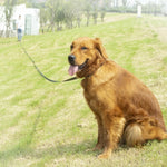 Pet Tracking Dog Collar Leash Dog Training Lengthened Traction Leash, 2.5cm x 3m, 2.5cm x 5m, 2.5cm x 10m, 2.5cm x 15m, 2.5cm x 20m, 2.5cm x 30m