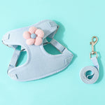 Hundeleine mit Weste, Teddy-Brustgurt und Kette, Größen: S, M, L, XL