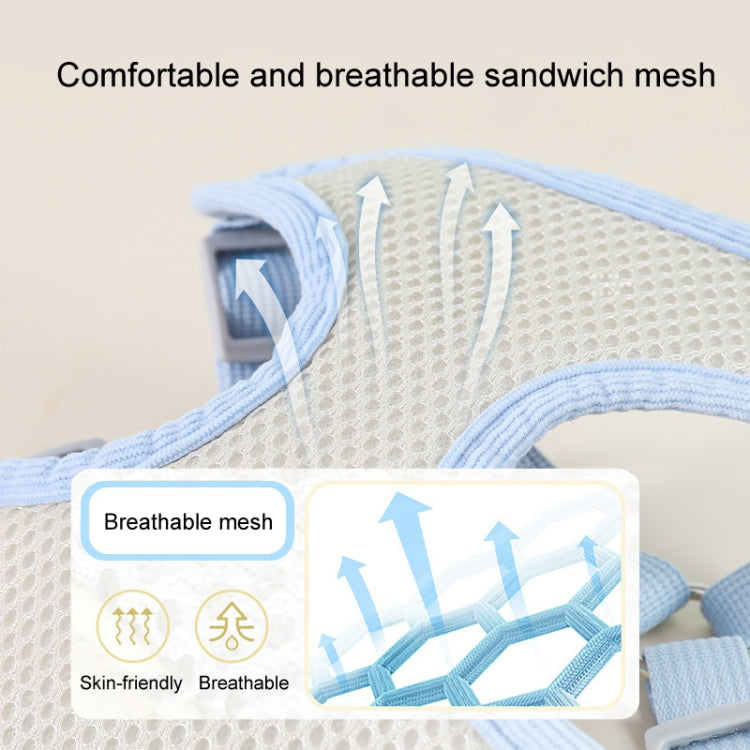 Hundeleine mit Weste, Teddy-Brustgurt und Kette, Größen: S, M, L, XL