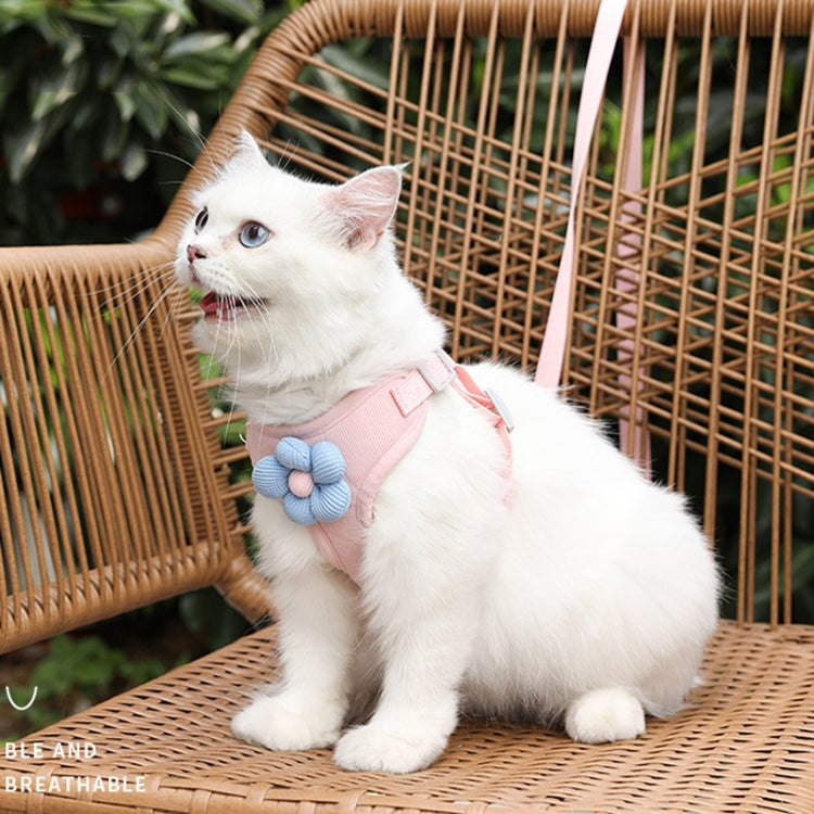 Hundeleine mit Weste, Teddy-Brustgurt und Kette, Größen: S, M, L, XL