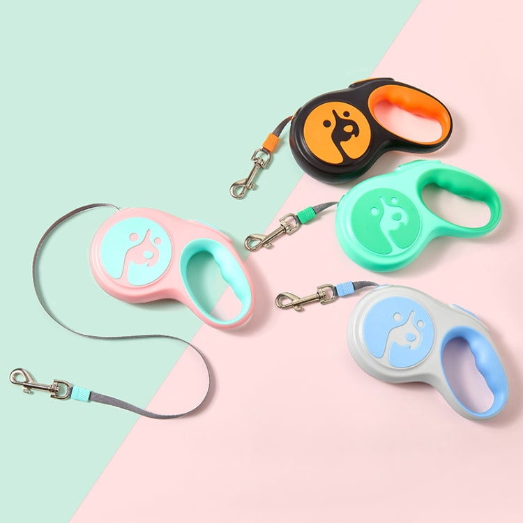Automatische, einziehbare und tragbare Hundeleine für kleine und mittelgroße Hunde, 5 m