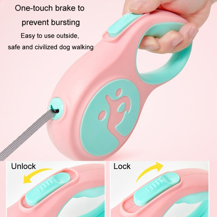 Automatische, einziehbare und tragbare Hundeleine für kleine und mittelgroße Hunde, 5 m