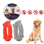 Flea and Tick Collar for Dogs Cats With Aluminum Case, 72cm Gray, 72cm Orange, 72cm Blue, 38cm Orange, 38cm Pink, 38cm Blue