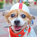 Pet Helmet Dogs And Cats Rugby Hat Accessories, S, M