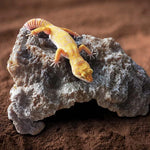 Reptile Simulation Rocks Hideaway House Turtle Sunbed, S, M, L