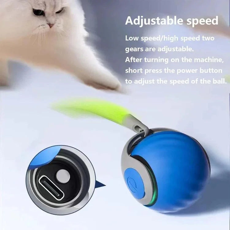 Smart Self Rolling Ball Interactive Cat Toys USB Rechargeable Cat Ball Two Speed Adjustment, TUTU Orange, TUTU Blue