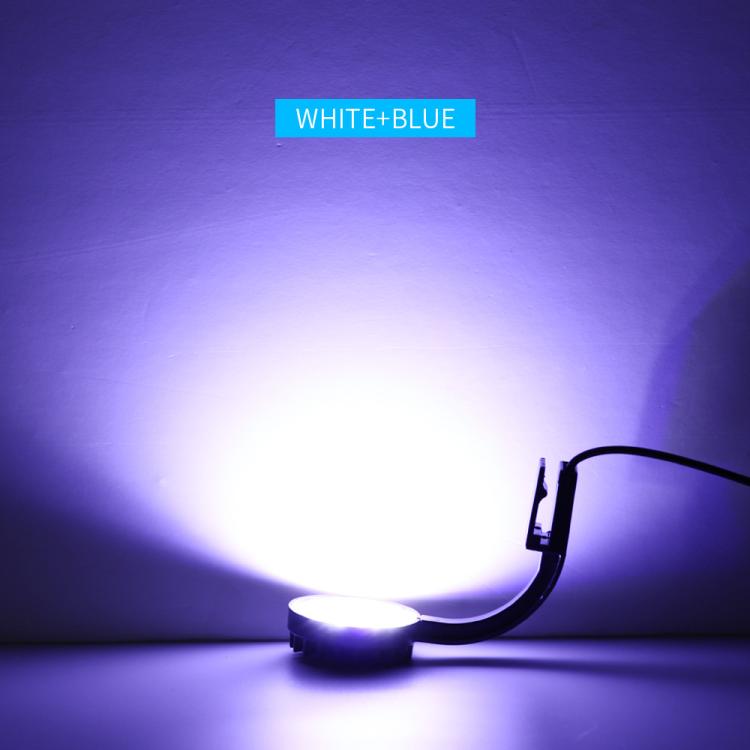 5W Blue White Aquarium LED Clip Light with 12 LEDs USB Powered Mini Fish Tank Light for Aquatic Plants, Water Grass & Small Tanks, 220V, 110V