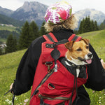 Hangable Climbing Buckle Retractable Anti-Loss Outdoor Climbing Pull Buckle, Hangable