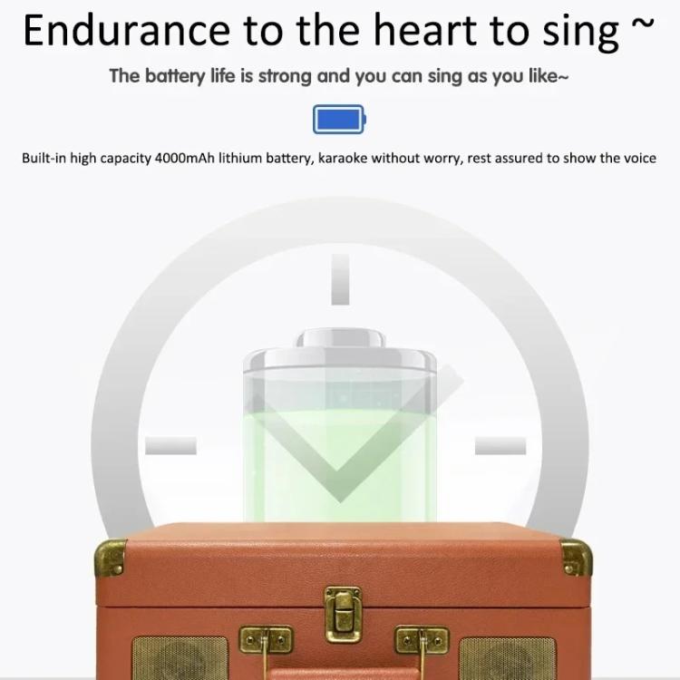 SDRD Wooden Box Karaoke Machine With Wireless Dual Mics All-In-One Speaker System Supports U Disk/TF Card