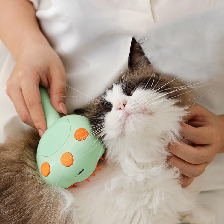 Pet Cleaning Spray Massage Comb