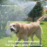 Color Screen Shock Collar Remote Control Dog Training Device