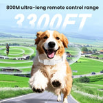 Remote Control Dog Barking Control Device Rechargeable Waterproof Electric Shock Collar, One To One, One To Two