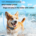 Remote Control Dog Barking Control Device Waterproof Electric Shock Collar, One To One, One To Two