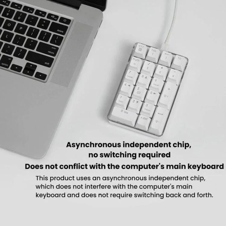 Little Kangaroo DS-9817 Backlit Non-Switching Wired Numeric Keypad Financial Business Banking Keyboard, DS-9817