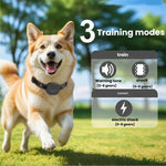 Wireless Electronic Fence Pet Smart Shock Collar