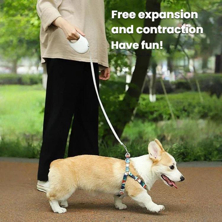 Retractable Dog Leash for Small & Medium Dogs No Tangle Walking Pet Lead, 3m, 5m