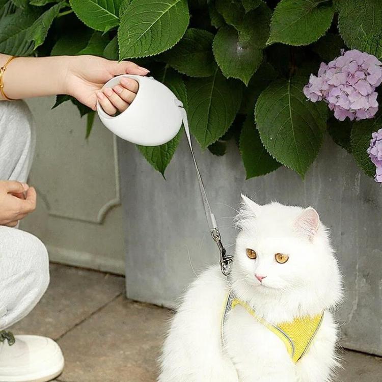 Retractable Dog Leash for Small & Medium Dogs No Tangle Walking Pet Lead, 3m, 5m