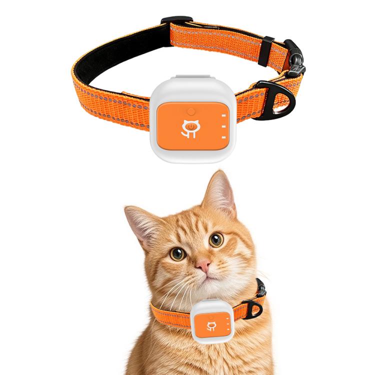 Real-Time GPS/WIFI Location SOS Distress Electronic Fence Alert Pet Collar