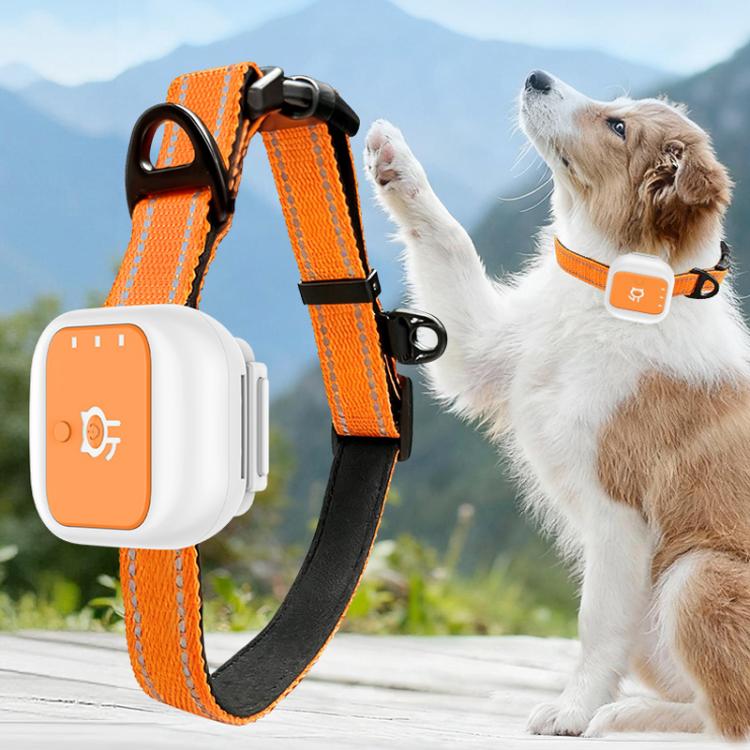 Real-Time GPS/WIFI Location SOS Distress Electronic Fence Alert Pet Collar