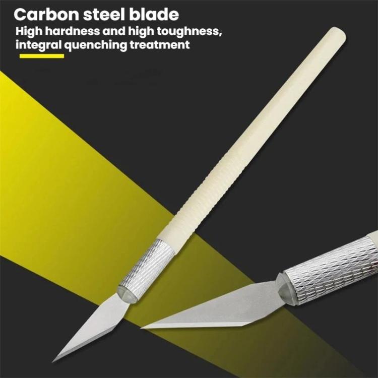 نص بديل للصورة