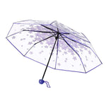 Cherry Blossom Transparent Triple-fold Umbrella Individual Folding Umbrella