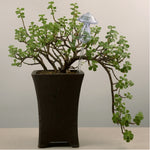 Mushroom Shape House Plants Flowers Water Feeder Automatic Self Watering Clear Glass Devices